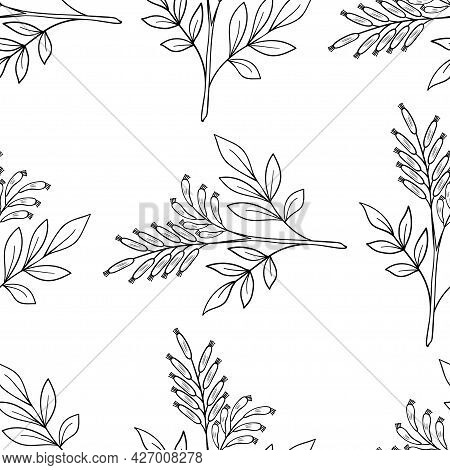 Bitter Wood, Seamless B-w Dd Ww Herb