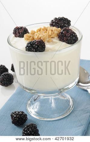 Yogurt con more e muesli