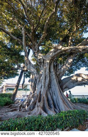 Alameda De Apodaca, A Public Park And An Example Of The Eclectic Style Of Regionalism In Cadiz, With