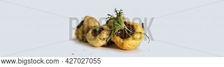 Maca. Peruvian Root For Vitality, Energy And Healty. White Peruvian Maca In White Background