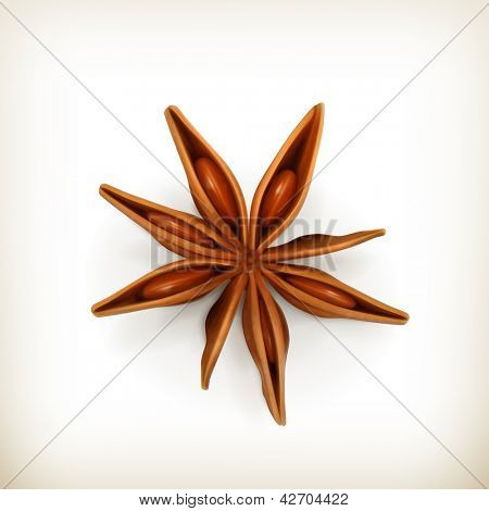 Anijs vector