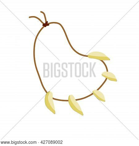 Necklace Of Teeth And Fangs. Decoration Of Wild Primitive Man For Neck. Primitive Tribal Art. Cavema