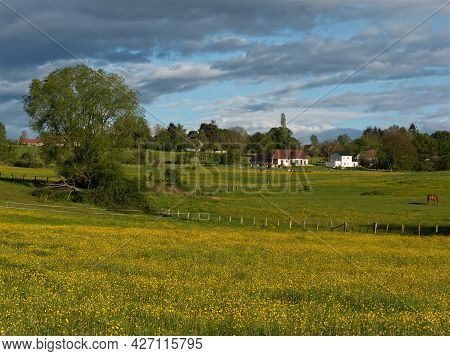 Buttercup And Green Fields Are The Illustration Of France Backcountry With Colors Of Spring