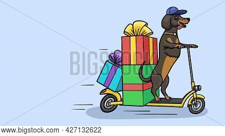 The Dog Rides On A Two-wheeled Scooter With Boxes.