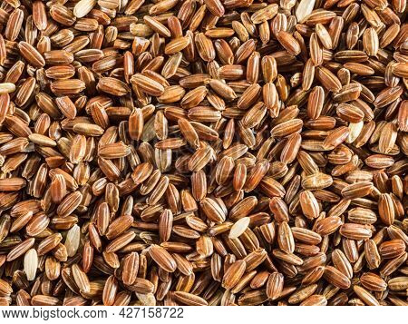 Brown rice - whole grain rice with outer hull or husk. Close-up.