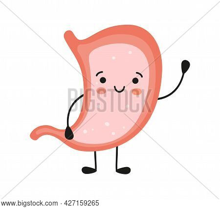 Smiling Cute Stomach Character. Symbol Of A Healthy Stomach. Vector Flat Cartoon Illustration On Whi