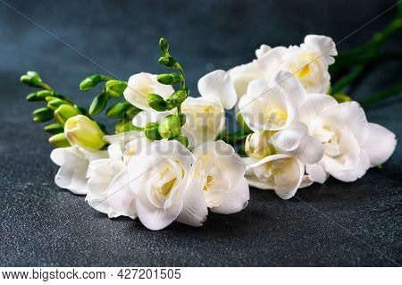 The Branch Of White Freesia With Flowers And Buds On A Dark Background. Flowers On Table. Blossom Of