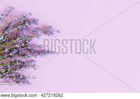 Beautiful Lavender Floers On A Violet Pastel Background. Flat Lay. Place For Text.
