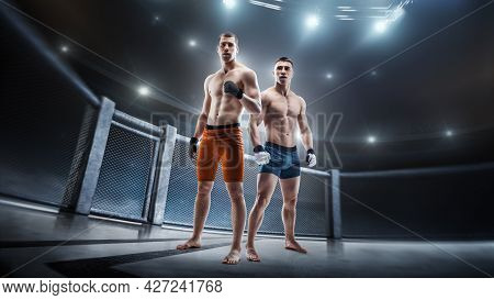 Two Mma Fighters Cage. Muscular Athletes. Mma Fighters In The Octagon. Sport. 3d