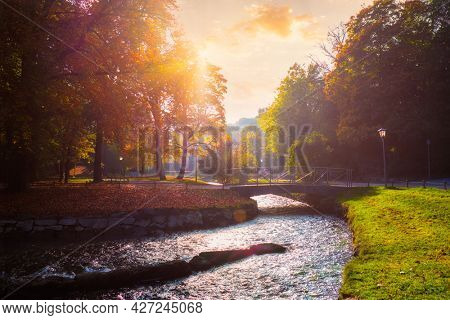 Golden autumn fall October in famous Munich relax place - Englishgarten. English garden with with river and fallen leaves and golden sunligh on sunsett. Munchen, Bavaria, Germany