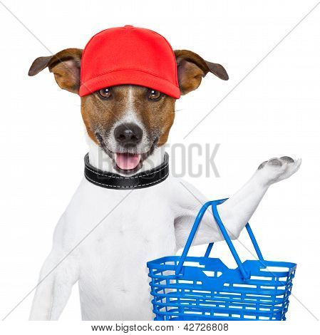 Winkelen hond