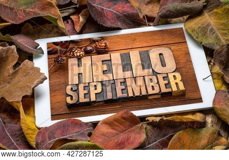 Hello September - word abstract in vintage letterpress wood type blocks on a digital tablet with dried leaves