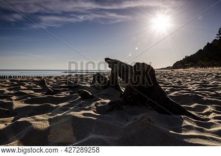 Sea Beach - Sun Over The Sea Coast