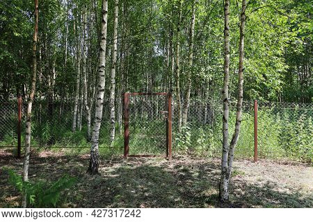Wicket In Mesh Fence In Birch Forest, There Is No Passage, On Door Of Castle, Without People On Sunn