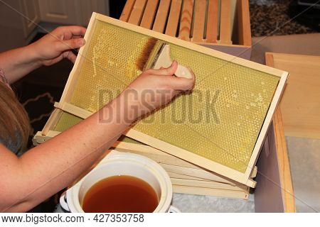 Applying Or Painting Melted Beeswax Onto The Plastic Honeycomb Foundation Of A Langstroth Hive Frame
