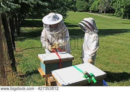 Mother Teaching Her Daughter How To Remove Ratchet Straps From A Langstroth Beehive With Green Plant