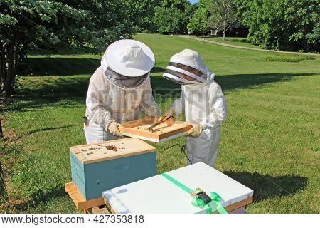 Mother Teaching Her Daughter How To Remove Burr Comb From A Langstroth Beehive Lid With Green Plant 