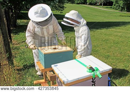 Mother Teaching Her Daughter How To Remove The Inner Cover From A Langstroth Beehive Using A Hive To