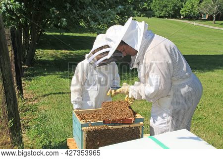 Mother Showing Her Child How To Document And Inspect Activity In A Langstroth Beehive Using A Phone 