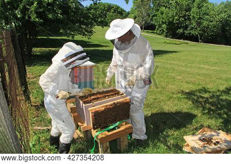 Mother Teaching Her Daughter How To Separate Frames In A Langstroth Beehive Using A Hive Tool And Ha