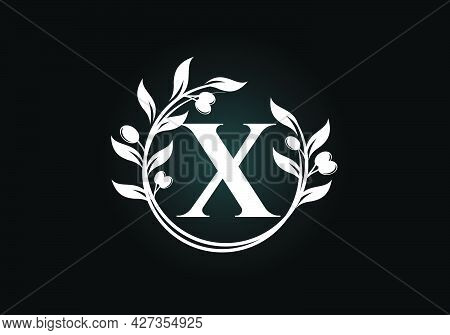 Initial Letter X Sign Symbol With Olive Branch Wreath. Round Floral Frame Made By The Olive Branch. 