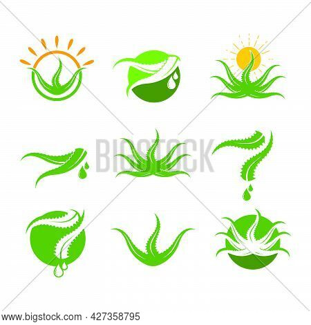 Aloevera Logo Icon Vector Illustration Design