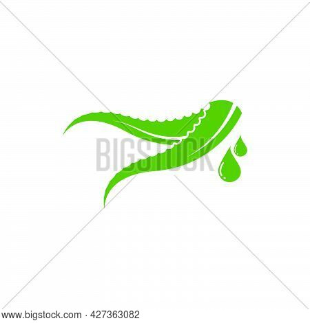 Aloevera Logo Icon Vector Illustration Design