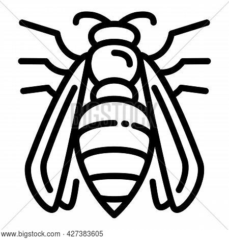 Agression Wasp Icon. Outline Agression Wasp Vector Icon For Web Design Isolated On White Background