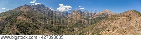Panoramic View Of The Tartagine Valley And Pine Covered Mountains In Corsica