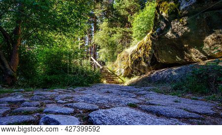 Stone Path In The Woods Leading To A Path Lit By Sunlight. Navacerrada.