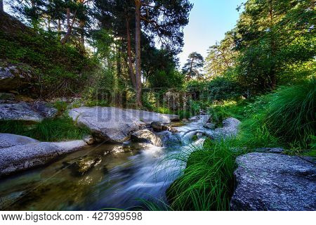 Sunlight Coming Through The Trees And Illuminating The River Water. Navacerrada.