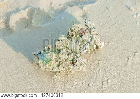 White Beach Sand Corals And Shells On Rasdhoo Atoll Maldives.