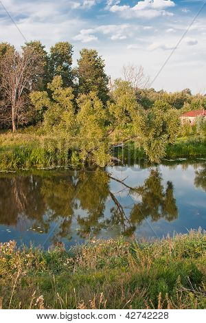 Schöne Sommerlandschaft bei einem Teich, Vladimirskiy Gebiet, Russland