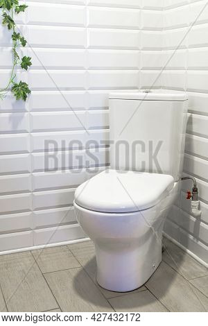 Flush Toilet In Corner Of Lavatory Or Bathroom. Fragment Of Interior