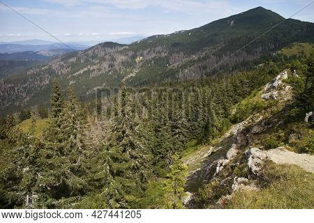 Western Tatras, Slovakia: Beautiful View From The Top Of Babka Hill To Sivy Vrch.