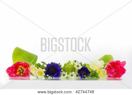 FrÃ¼hlingsblumen