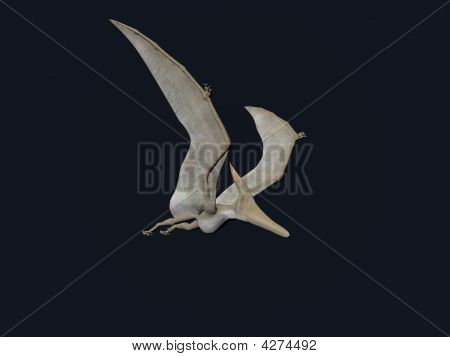 Pterodactyl