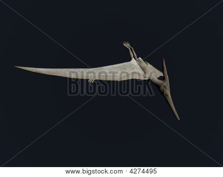 Pterodactyl
