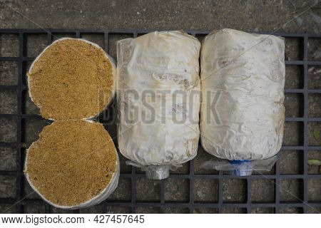 A Lump Of Oyster Mushroom For Growing In Farm Mushroom Cubes On Black Plastic Grille.