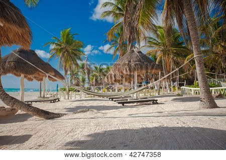Amaca Caraibi spiaggia e palme In Messico