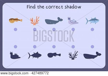 Matching Children Educational Game With Sea Animals - Puffer Fish, Coral, Sperm Whale, Tuna. Find Th
