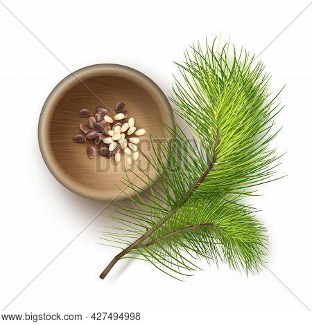 Vector Realistic Pile Of Unshelled And Shelled Pine Nuts In Wooden Bowl With Cedar Branch Close Up T