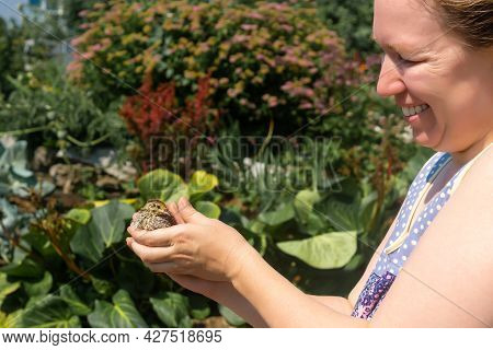 Woman Farmer Tenderly Holds Domestic Quail Chicken In Her Hands Outdoor