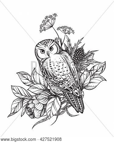 Vector Illustration Of Black And White Owl, Flowers And Herbs, Branches Isolated On White Background