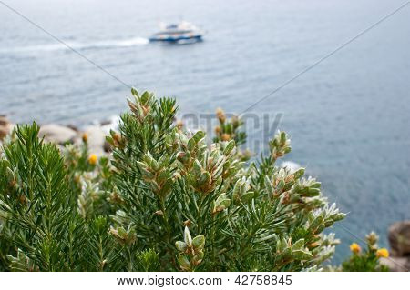 Paesaggio marino con una barca