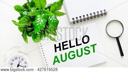 On A Light Background, There Is A White Alarm Clock, A Magnifying Glass, A Green Plant And A Noteboo