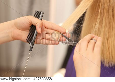 Professional Stylist Cutting Client's Hair On Blurred Background, Closeup