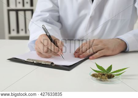 Doctor Working At Table With Medical Hemp And Fresh Leaf Indoors, Closeup