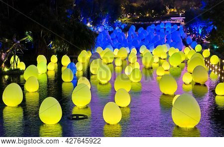 Singapore - Feb 25, 2020. Colorful Blue And Yellow Eggs Float On Water In Dragonfly Lake. Temporary 