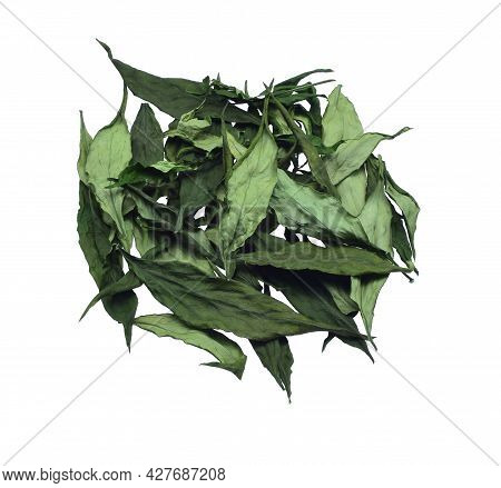 Dried  Andrographis Paniculata  Isolated On White Background